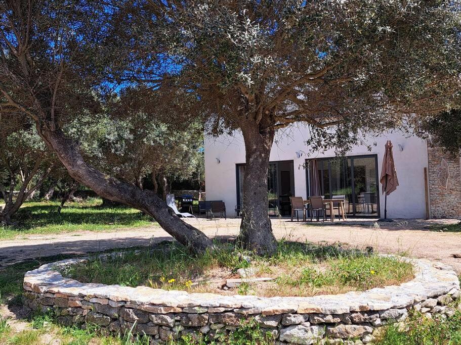 Maison Au Calme Idealement Situee Proche Plage Bonifacio  Εξωτερικό φωτογραφία